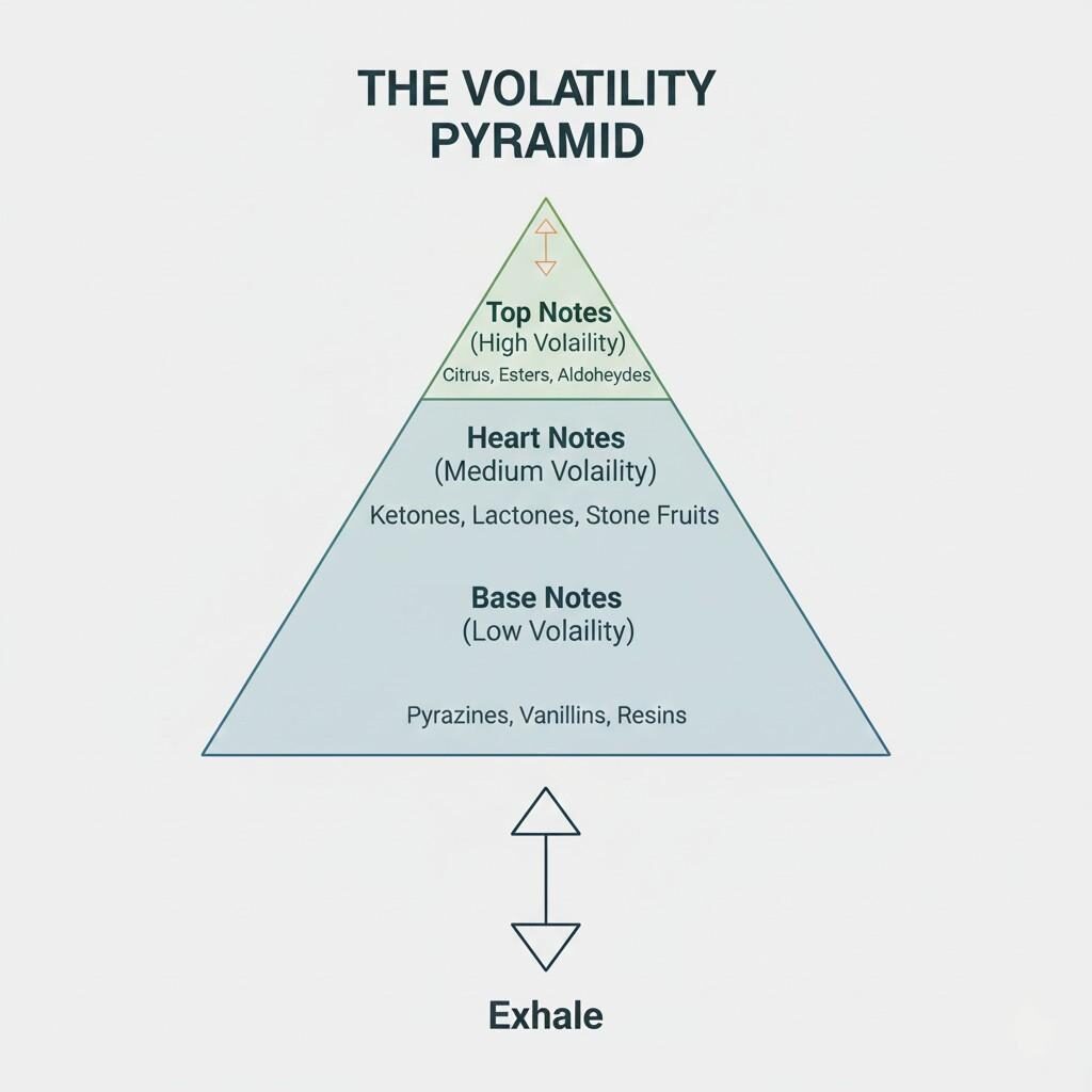A technical pyramid diagram, "The Volatility Pyramid," illustrates the hierarchical structure of flavor notes based on their volatility. It details Top Notes (High Volatility) like Citrus, Heart Notes (Medium Volatility) such as Ketones, and Base Notes (Low Volatility) including Vanillins, with arrows indicating how "Inhale" triggers top notes and "Exhale" triggers base notes.